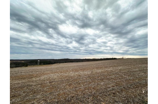 135.80AC Hickory Hill Road, Hillsboro, WI 54634