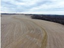 135.80AC Hickory Hill Road, Hillsboro, WI 54634