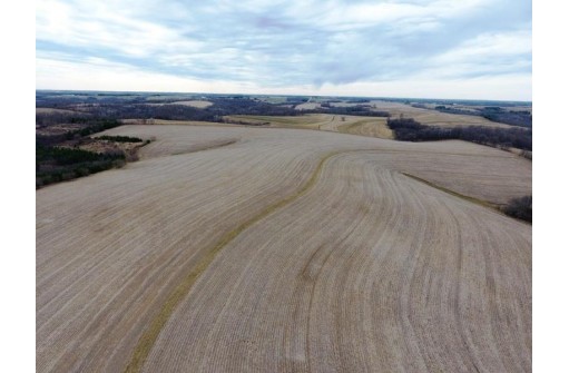 135.80AC Hickory Hill Road, Hillsboro, WI 54634