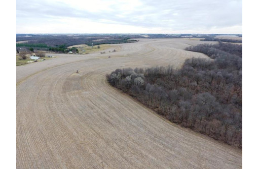 135.80AC Hickory Hill Road, Hillsboro, WI 54634