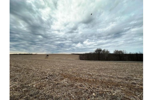 135.80AC Hickory Hill Road, Hillsboro, WI 54634