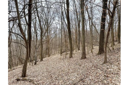 135.80AC Hickory Hill Road, Hillsboro, WI 54634