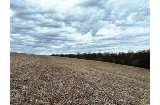 135.80AC Hickory Hill Road, Hillsboro, WI 54634