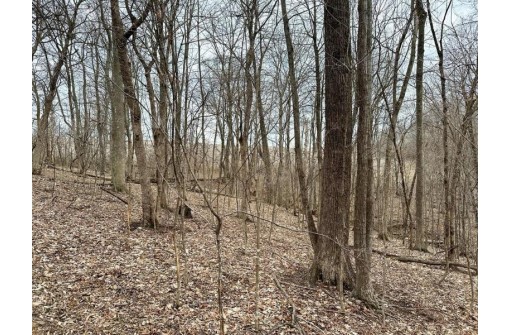 135.80AC Hickory Hill Road, Hillsboro, WI 54634