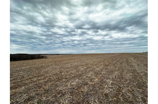 135.80AC Hickory Hill Road, Hillsboro, WI 54634