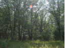 LOT 53 Tomahawk Trail, Montello, WI 53949-0000