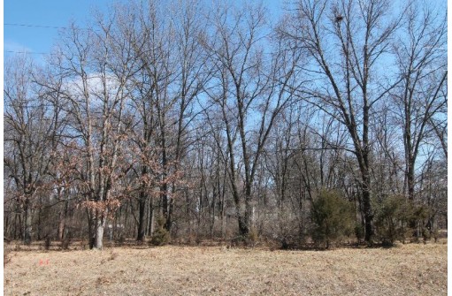 LOT 53 Tomahawk Trail, Montello, WI 53949-0000