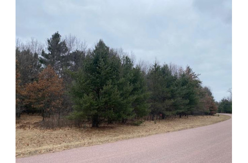 1726 Westwind Trail, Nekoosa, WI 54457