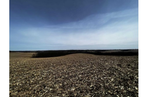 263.58 AC. Wettach Road, Monticello, WI 53570