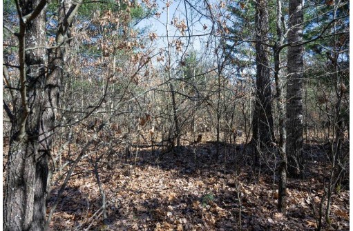 5 AC 32nd Street (#1), New Lisbon, WI 53950