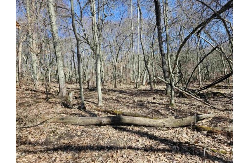 123.5 +/- ACRES Hell Hollow Road, Richland Center, WI 53581