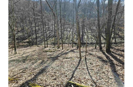 123.5 +/- ACRES Hell Hollow Road, Richland Center, WI 53581