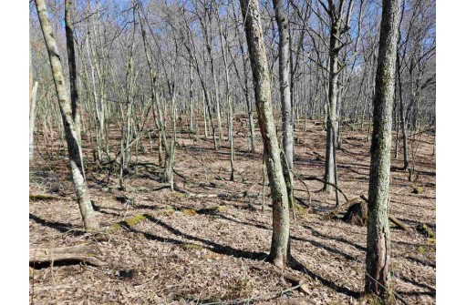 123.5 +/- ACRES Hell Hollow Road, Richland Center, WI 53581