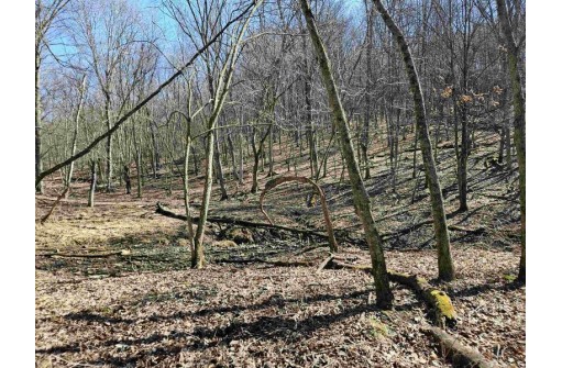 123.5 +/- ACRES Hell Hollow Road, Richland Center, WI 53581