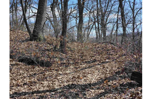 123.5 +/- ACRES Hell Hollow Road, Richland Center, WI 53581