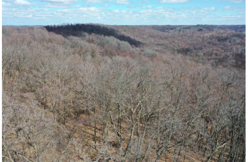 123.5 +/- ACRES Hell Hollow Road, Richland Center, WI 53581