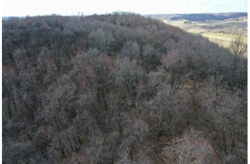 123.5 +/- ACRES Hell Hollow Road, Richland Center, WI 53581