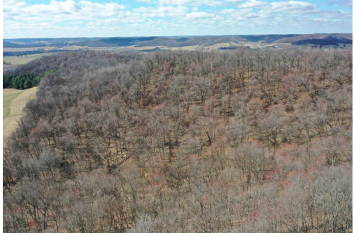 123.5 +/- ACRES Hell Hollow Road, Richland Center, WI 53581