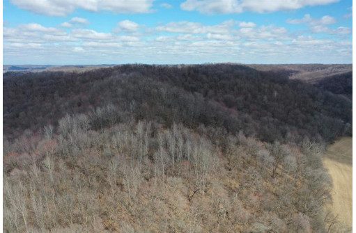 123.5 +/- ACRES Hell Hollow Road, Richland Center, WI 53581