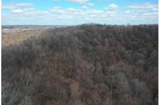 123.5 +/- ACRES Hell Hollow Road, Richland Center, WI 53581