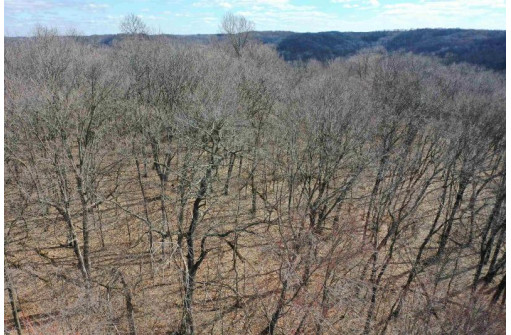 123.5 +/- ACRES Hell Hollow Road, Richland Center, WI 53581