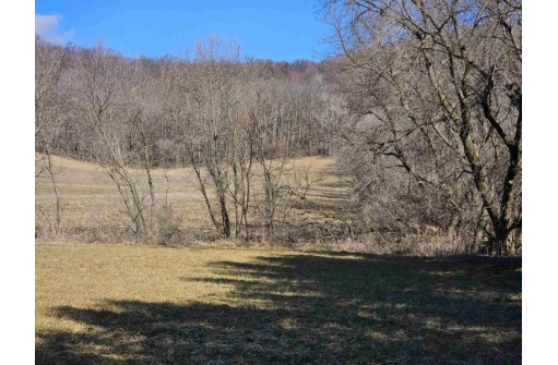 123.5 +/- ACRES Hell Hollow Road, Richland Center, WI 53581