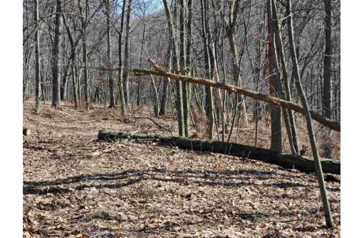 123.5 +/- ACRES Hell Hollow Road, Richland Center, WI 53581