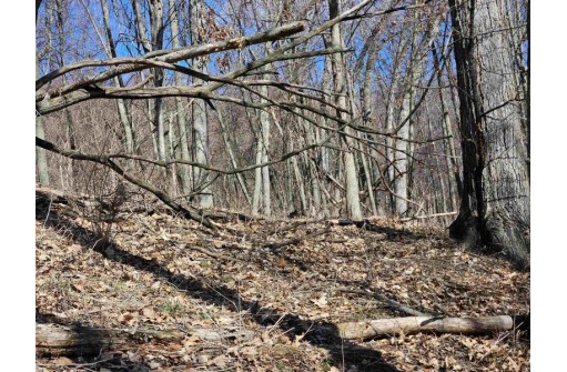 123.5 +/- ACRES Hell Hollow Road, Richland Center, WI 53581