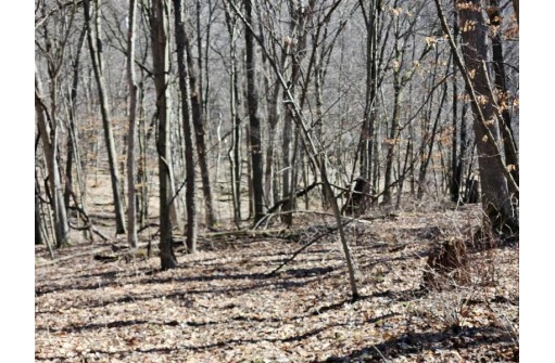 123.5 +/- ACRES Hell Hollow Road, Richland Center, WI 53581