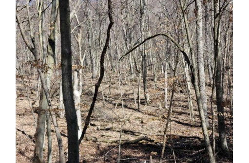 123.5 +/- ACRES Hell Hollow Road, Richland Center, WI 53581