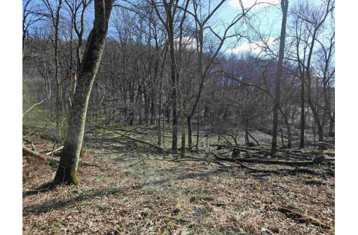 123.5 +/- ACRES Hell Hollow Road, Richland Center, WI 53581