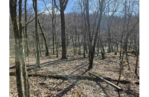 123.5 +/- ACRES Hell Hollow Road, Richland Center, WI 53581