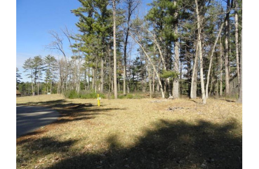 LOT 63 Fly Rod Trail, Wisconsin Rapids, WI 54494