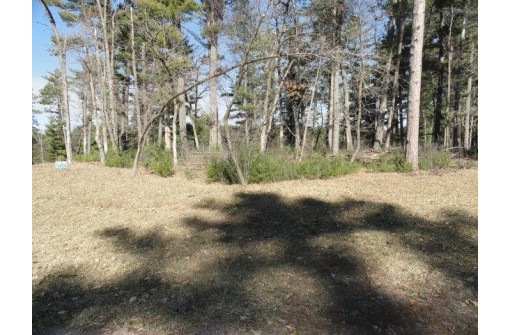 LOT 63 Fly Rod Trail, Wisconsin Rapids, WI 54494