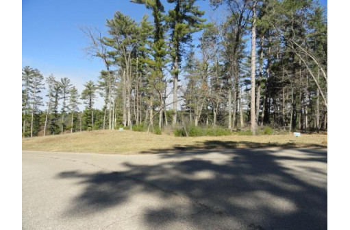 LOT 15 Fly Rod Trail, Wisconsin Rapids, WI 54494