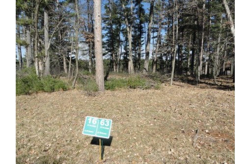 LOT 16 Fly Rod Trail, Wisconsin Rapids, WI 54494