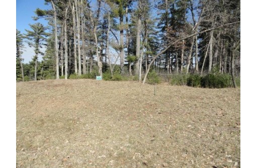 LOT 16 Fly Rod Trail, Wisconsin Rapids, WI 54494