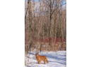 LOT I Deer Run, Montello, WI 53949-0000