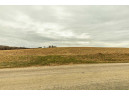 33.29 ACRES Whiteside Road, Argyle, WI 53504-9533