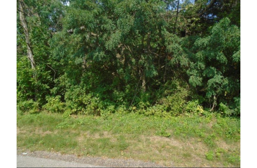 1.98 AC Roosevelt Street, Mauston, WI 53948