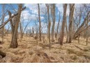 LOT 0 Woodfield Lane, Lake Mills, WI 53551-0000