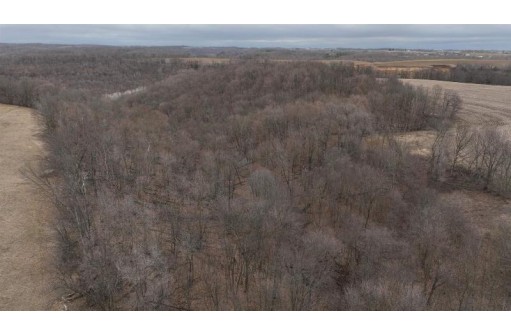 113.00AC Bugbee Hollow Road, Hillsboro, WI 54634