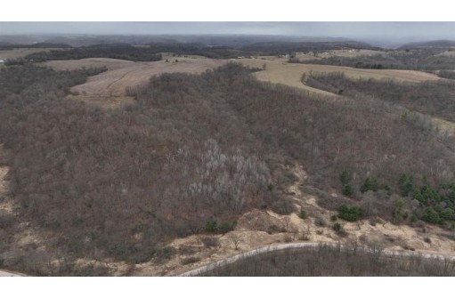 113.00AC Bugbee Hollow Road, Hillsboro, WI 54634