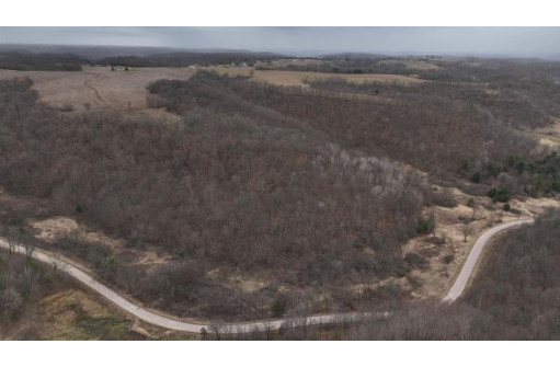 113.00AC Bugbee Hollow Road, Hillsboro, WI 54634