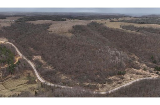 113.00AC Bugbee Hollow Road, Hillsboro, WI 54634