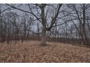 113.00AC Bugbee Hollow Road, Hillsboro, WI 54634