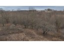 113.00AC Bugbee Hollow Road, Hillsboro, WI 54634