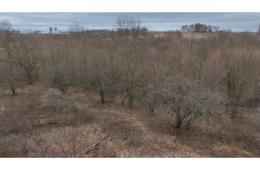 113.00AC Bugbee Hollow Road, Hillsboro, WI 54634