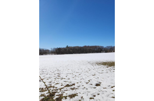 10.73AC County Road Ff, Coloma, WI 54930