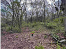 LOT Wildwood Way, Poynette, WI 53955